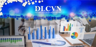 CHÍNH SÁCH DLCVN